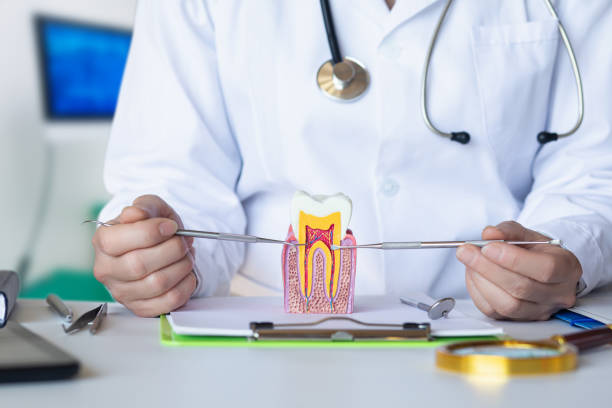 Best Emergency Dentist for Knocked-Out Tooth in Millersport, OH